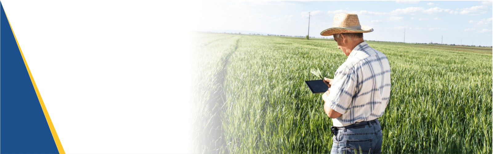 Banner – Internet Rural